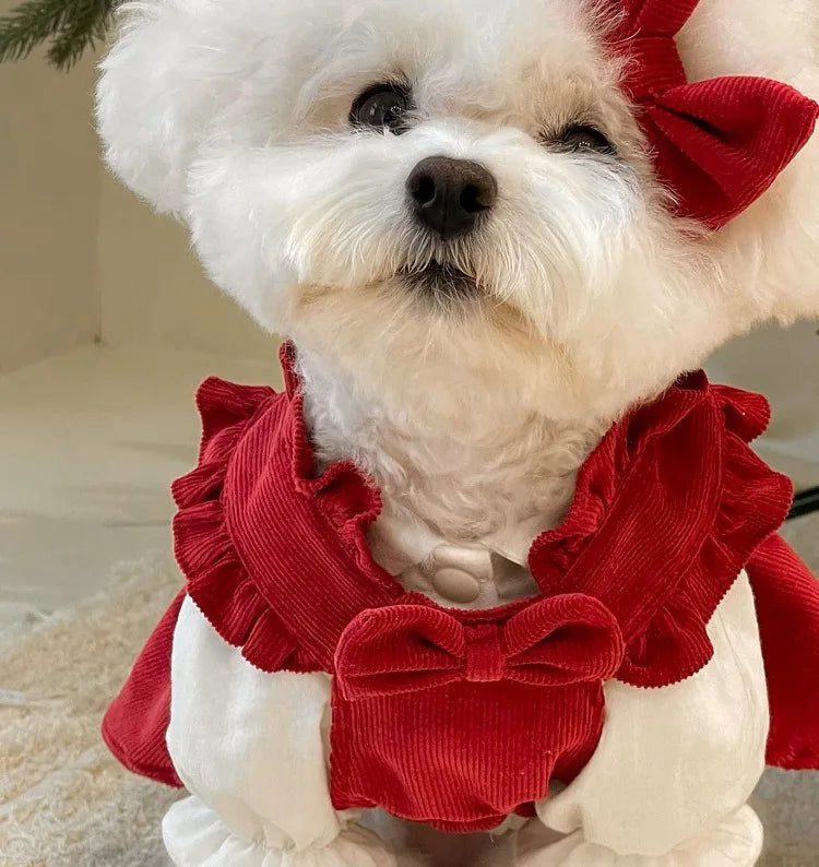 Maison Paw WinterBow™ Cozy Corduroy Dog Dress