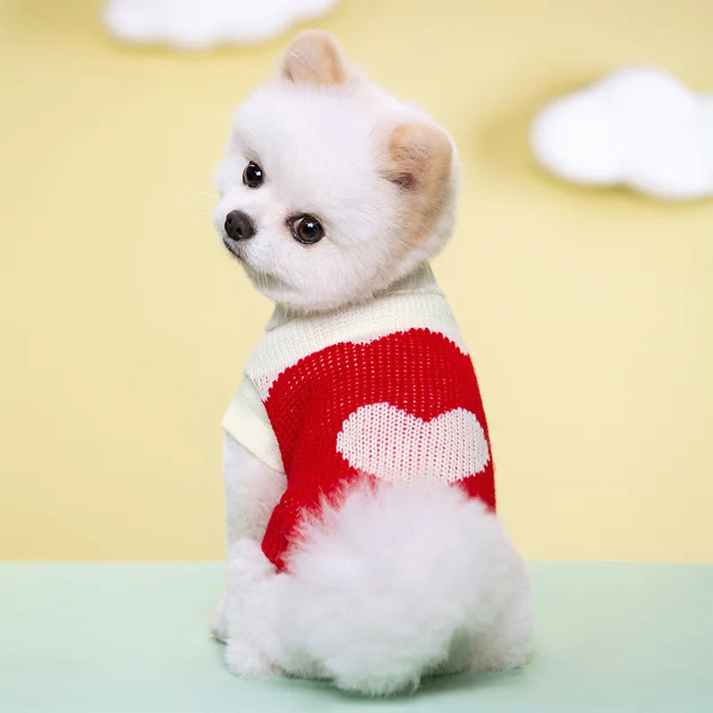Cozy Knitted Pet Sweater