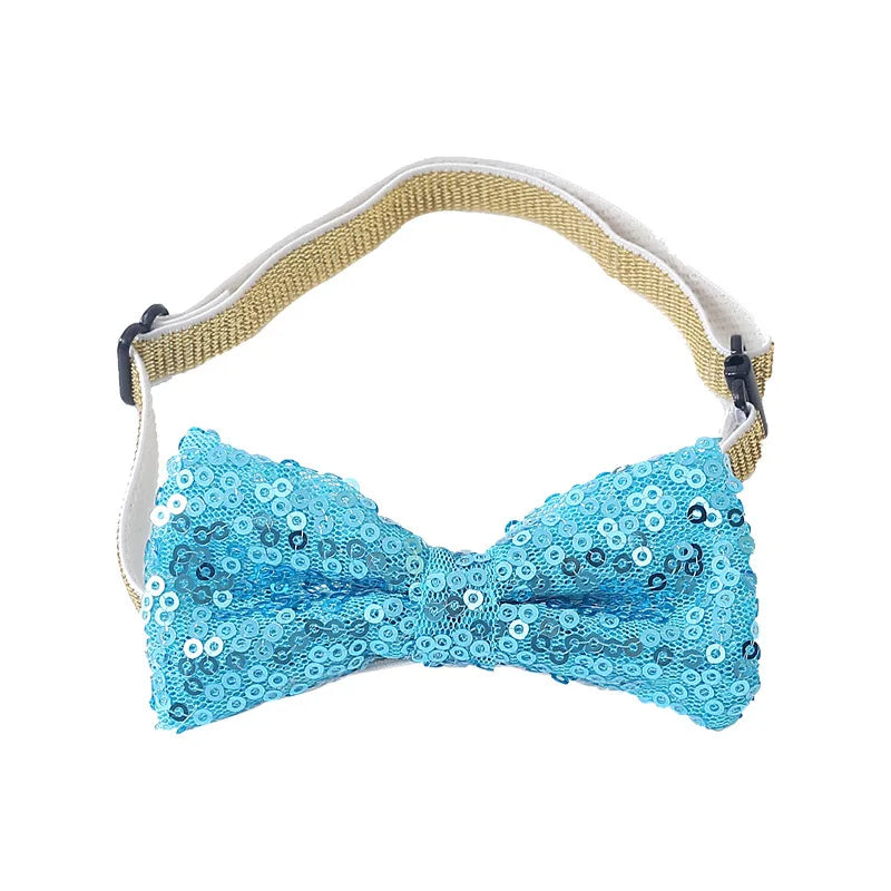 Maison Paw PawtyTime™ Pet Birthday Set