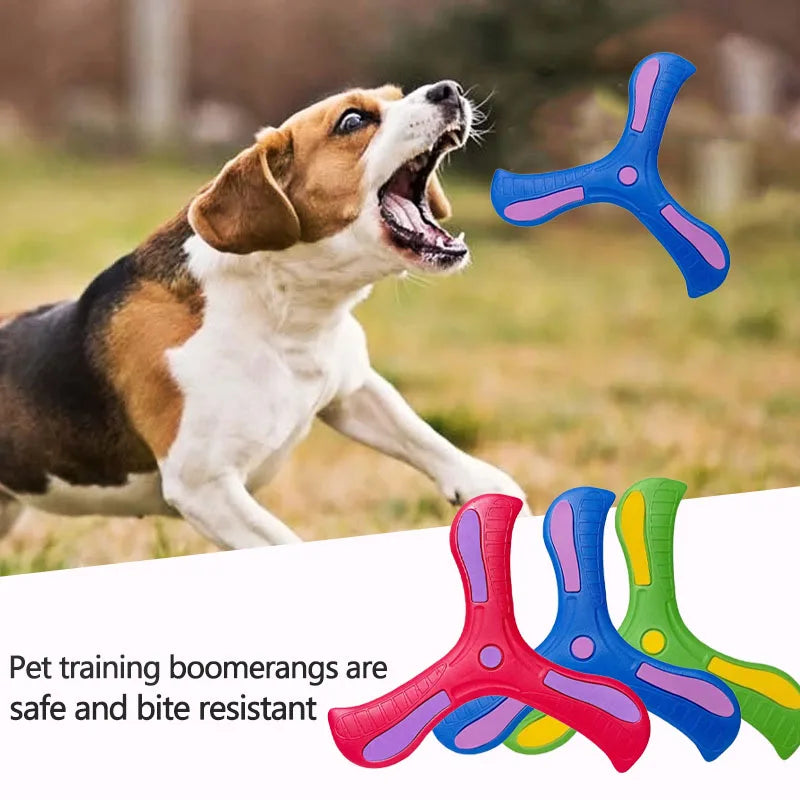 Maison Paw AeroFetch™ Dog Boomerang Toy (1/2/3 pcs)
