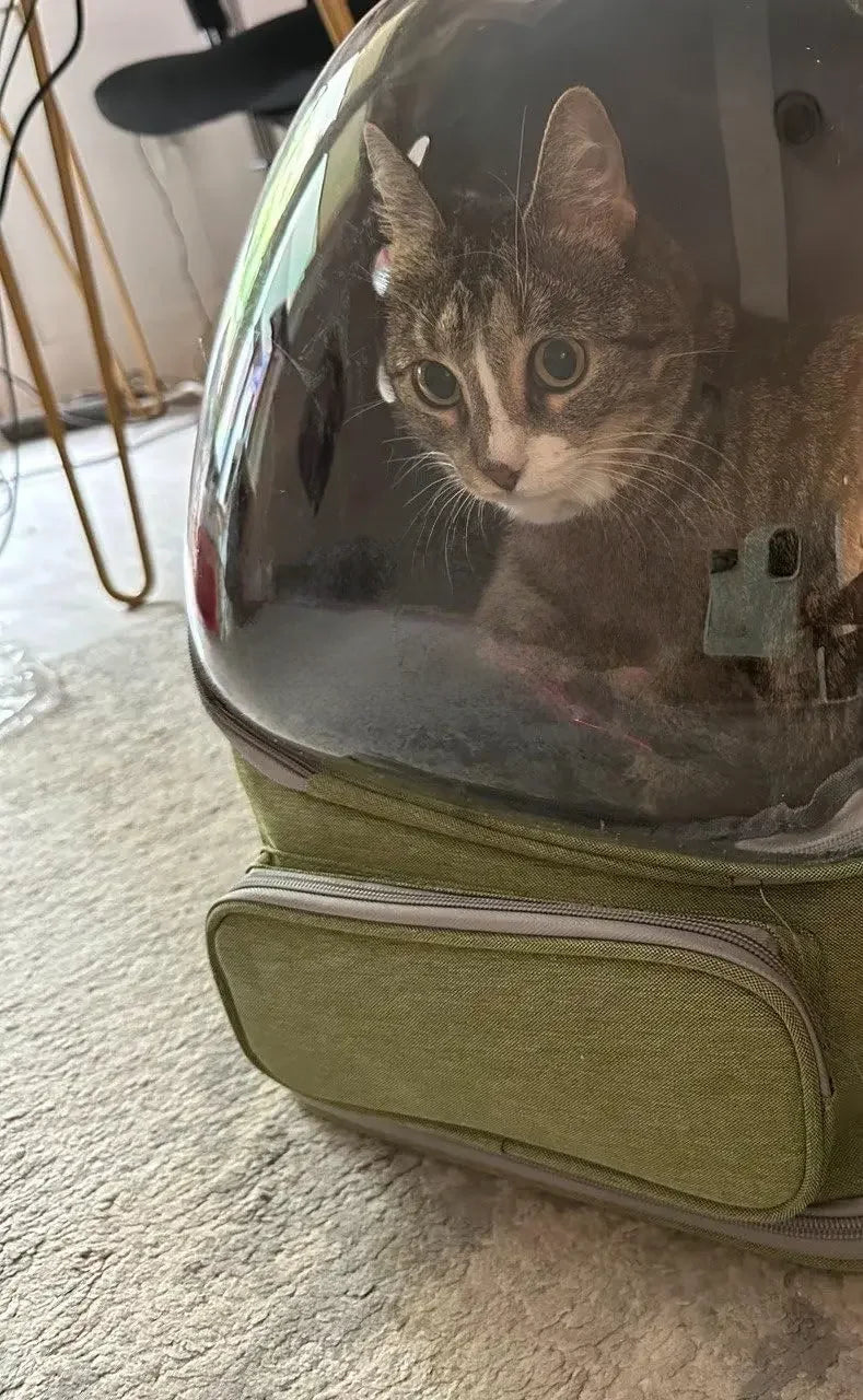 PawView Carrier