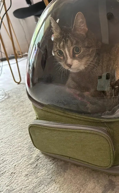 PawView Carrier