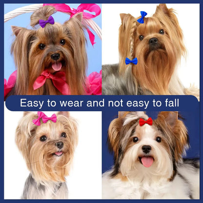 Maison Paw ColorPop™ Pet Hair Bows (5/10/20 pcs)