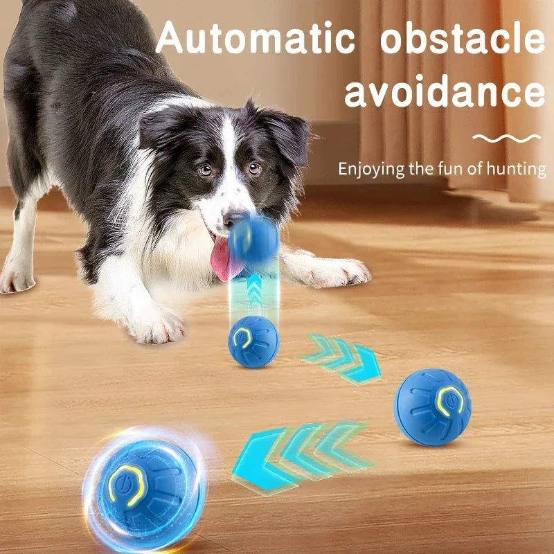 Maison Paw SmartBounce™ Interactive Dog Toy Ball
