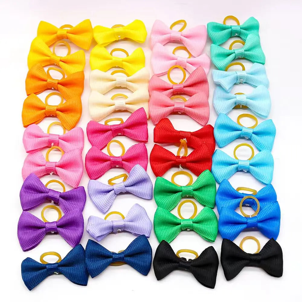 Maison Paw ColorPop™ Pet Hair Bows (5/10/20 pcs)