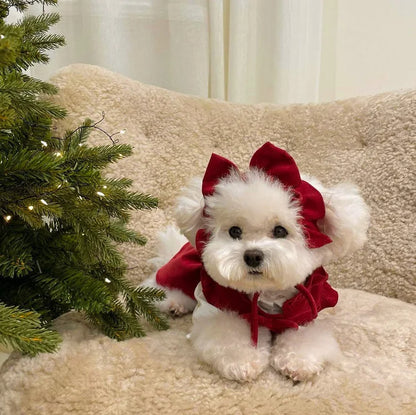 Maison Paw WinterBow™ Cozy Corduroy Dog Dress