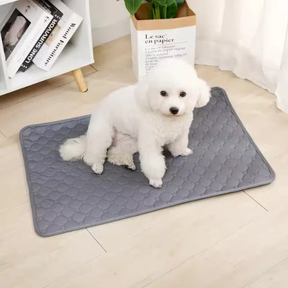 PawDry Mat
