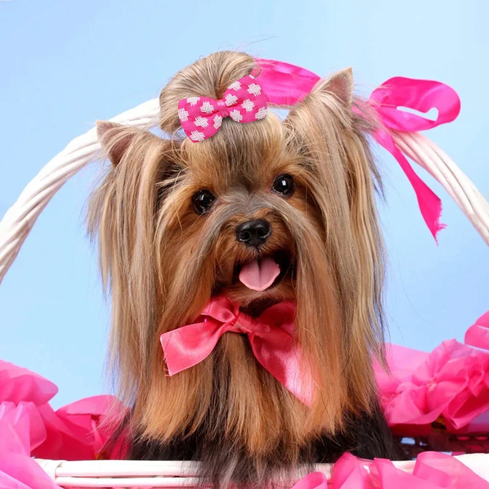 Maison Paw Valentine’s Sweet Style Pet Hair Bows (10 pcs)