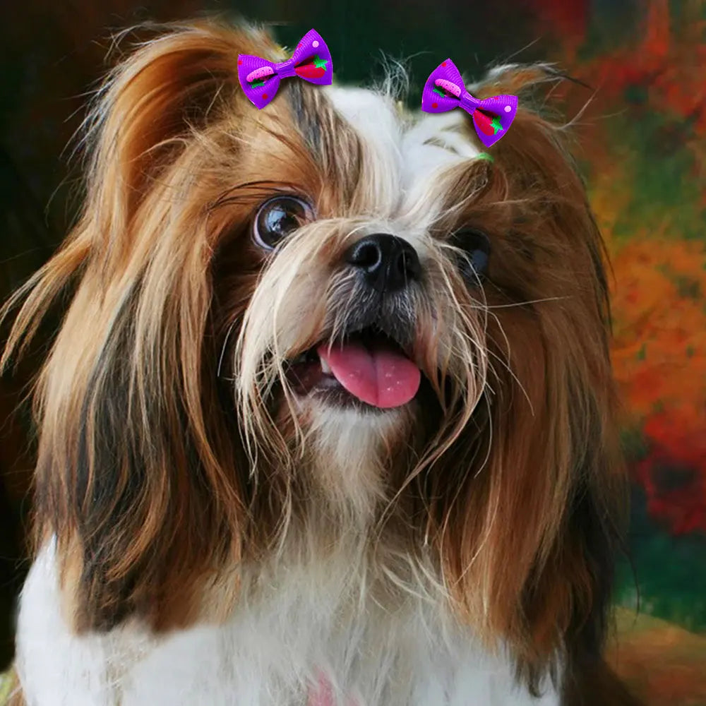 Maison Paw Pet Grooming Hair Bows Set (10/20/30 pcs)