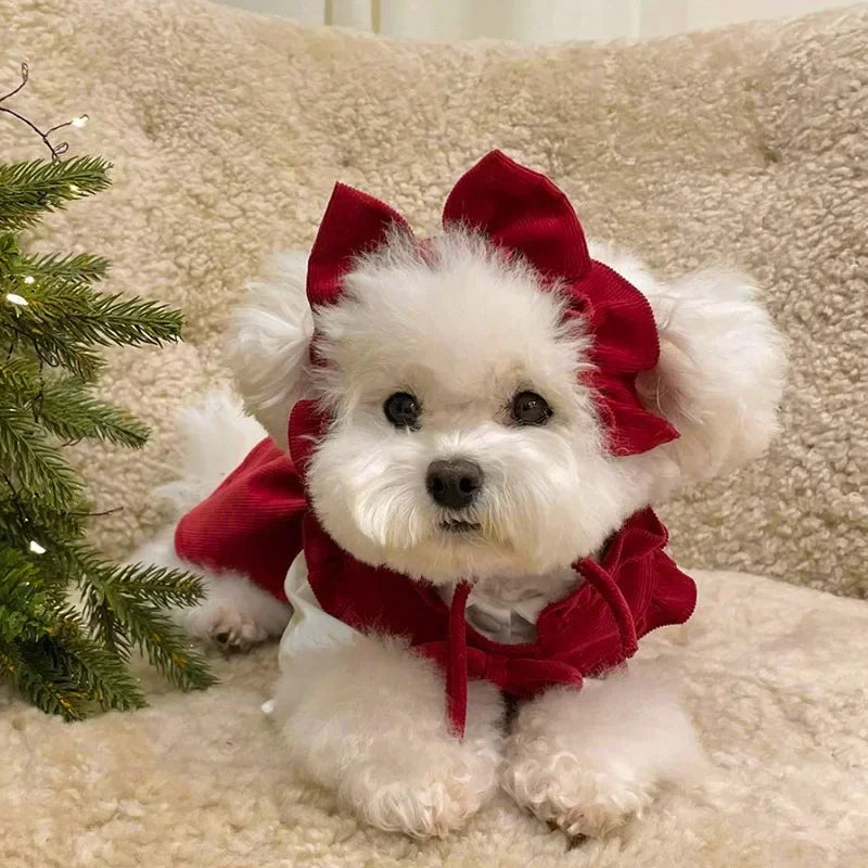 Maison Paw WinterBow™ Cozy Corduroy Dog Dress