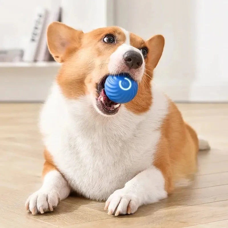 Maison Paw SmartBounce™ Interactive Dog Toy Ball