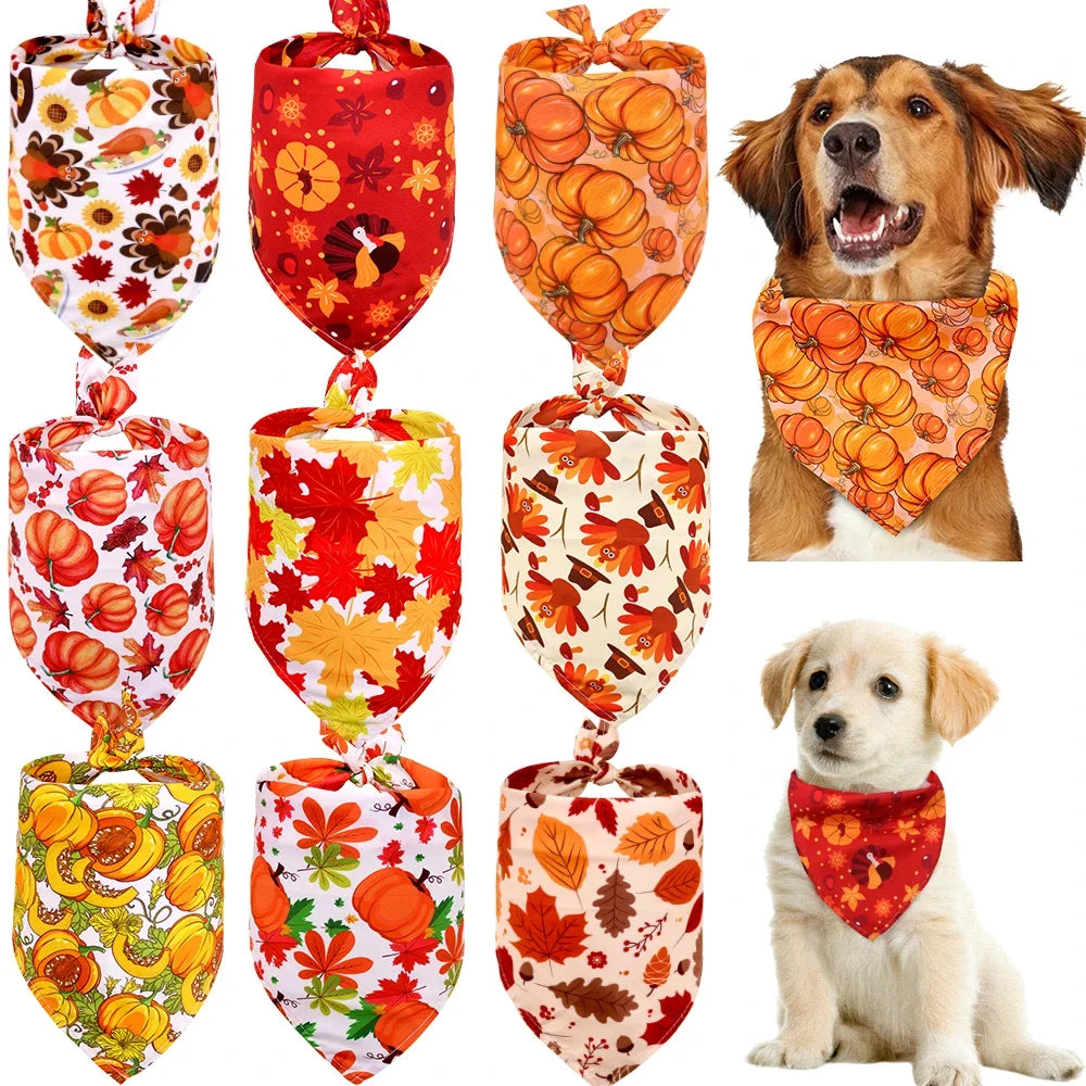 Maison Paw HarvestFest™ Thanksgiving Dog Bandana Set (50 pcs)