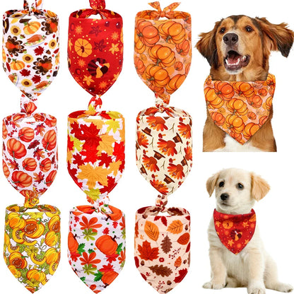Maison Paw HarvestFest™ Thanksgiving Dog Bandana Set (50 pcs)