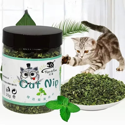 Maison Paw PureLeaf™ Organic Catnip – 100% Natural Mint Cat Treat & Toy