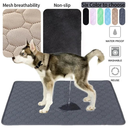 PawDry Mat