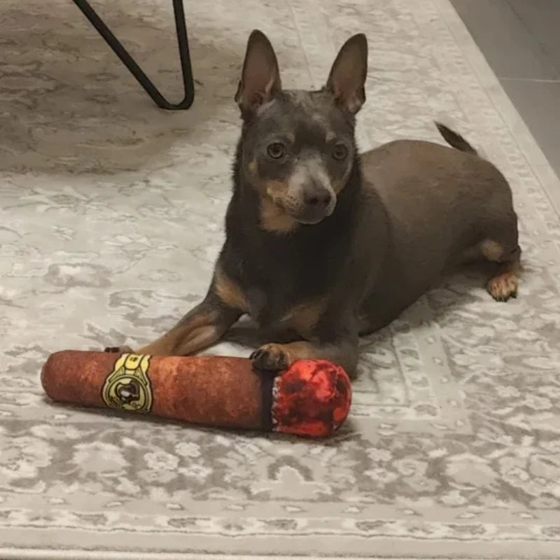 Maison Paw ChewCigar™ Squeaky Dog Toy – Plush Bite-Resistant Cigar for Small Dogs