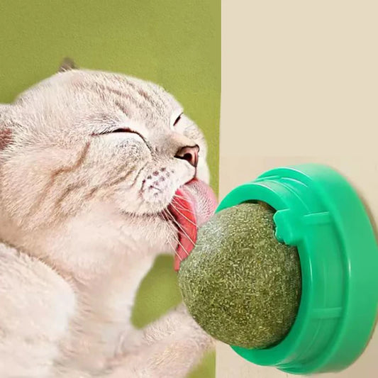 Maison Paw VitaBite™ Catnip Wall Ball – Healthy Treat & Play Toy for Cats