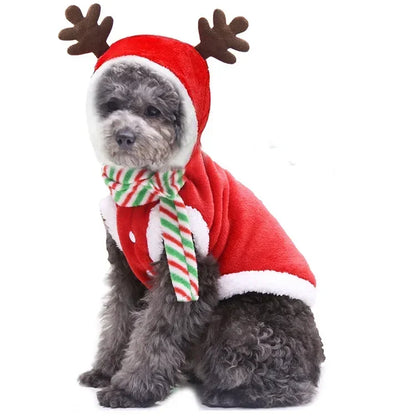 Maison Paw SantaPaws™ Christmas Pet Dress – Festive Holiday Outfit for Dogs & Cats
