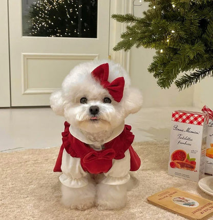 Maison Paw WinterBow™ Cozy Corduroy Dog Dress