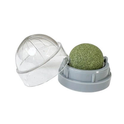 Maison Paw VitaBite™ Catnip Wall Ball – Healthy Treat & Play Toy for Cats